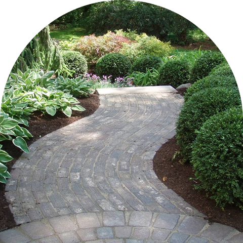 Pathed walkway that curves to a garden